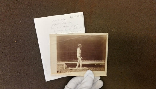 Le via della mente. Christian Fogarolli racconta il suo viaggio sulle tracce di un modello fantasma