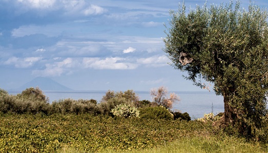 Le mappe e il mito al centro della settima edizione di “Viaggio in Sicilia”, progetto ideato dall’azienda vinicola Planeta, per promuovere il rapporto tra arte e territorio