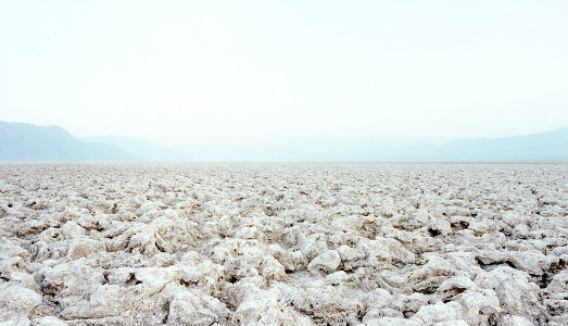 Processo alla Natura. Lo Spazio Calderara di Milano ospita la Galleria Umberto di Marino