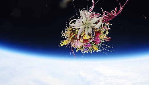 Cinque progetti che dimostrano come la nuova frontiera dell’arte sia lo Spazio