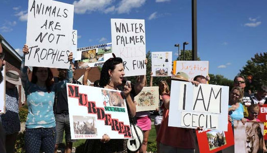 Cuor di leoni, giustizieri e borghesi