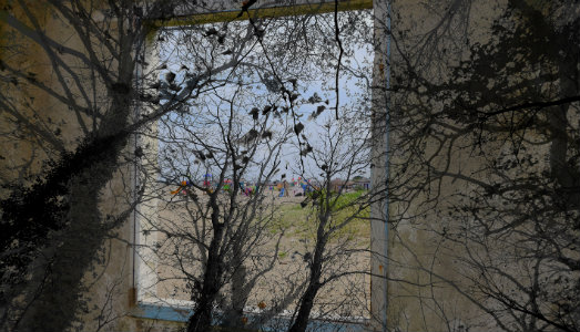 La responsabilità del disastro ambientale. Panel a margine di Enchanted Nature, a Palazzo Mora La responsabilità del disastro ambientale. Panel a margine di Enchanted Nature, a Palazzo Mora