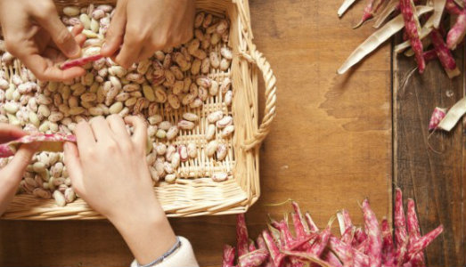 Cucinare all’American Academy. Pochi giorni per la call di Rome Sustainable Food Project