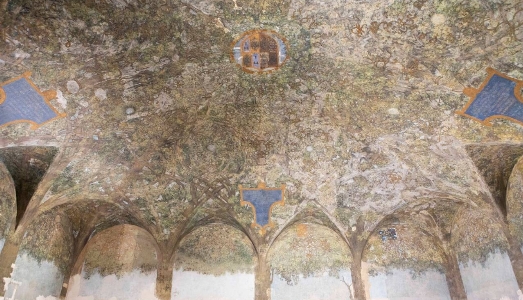 La Sala delle Asse del Castello Sforzesco riapre con i disegni inediti di Leonardo