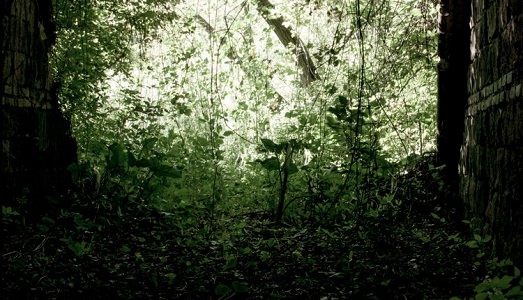 Siderare fa il bis, e Fondazione Volume! riapre le porte del Forte Portuense. Ecco gli artisti che scenderanno in campo Siderare fa il bis, e Fondazione Volume! riapre le porte del Forte Portuense. Ecco gli artisti che scenderanno in campo