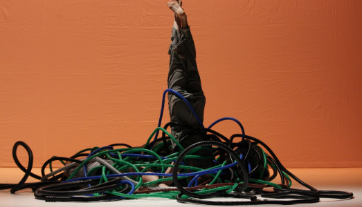 Dinamica vegetale. Simona Bertozzi ci parla di Joie de Vivre, al Teatro Storchi di Modena