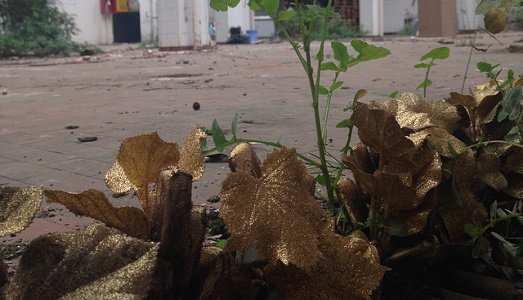 Milano Art Week/13. “Raid” nel vecchio magazzino di Pasticceria Cova: ecco i risultati di un bel progetto tra il militare e il mimetico