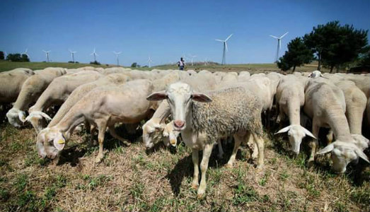 Che suono ha il Fortore? Ne abbiamo parlato con Beatrice Ferrara e Leandro Pisano, curatori di Liminaria