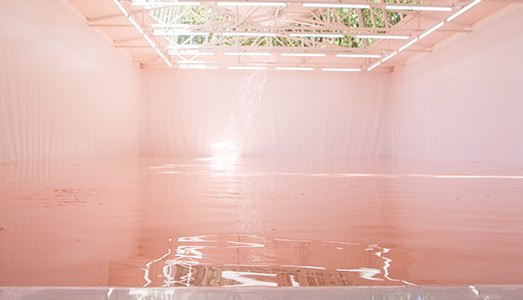 Venezia/Padiglioni. Chimica e arte, il mix è servito. Nella Svizzera di Pamela Rosenkranz | Venezia/Padiglioni. Chimica e arte, il mix è servito. Nella Svizzera di Pamela Rosenkranz |