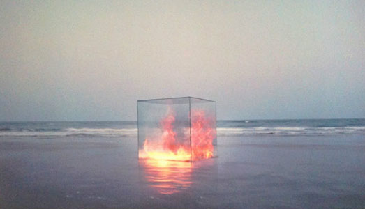 La natura in trappola