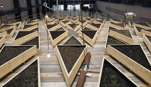 I terreni vuoti | di una città iperpopolata