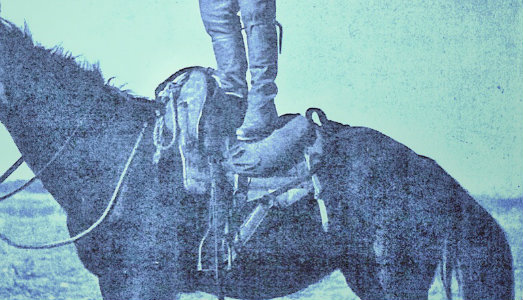 Terra di nessuno. I Masbedo tornano a Manifesta, per raccontare la storia di un film perduto