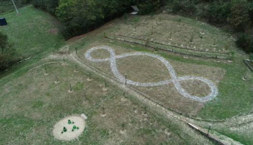 Alberi che crescono al TANA. Nel Sannio, un nuovo Terzo Paradiso