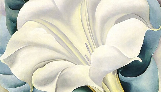 Arriva la rivoluzione rosa(?) |