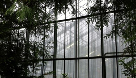 Progetti per una grande fiera. Ecco chi sarà a Frieze London, ispirato dalla struttura di Regent’s Park