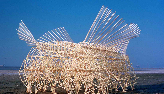 Occhio all’insetto gigante | sulla spiaggia Occhio all’insetto gigante | sulla spiaggia