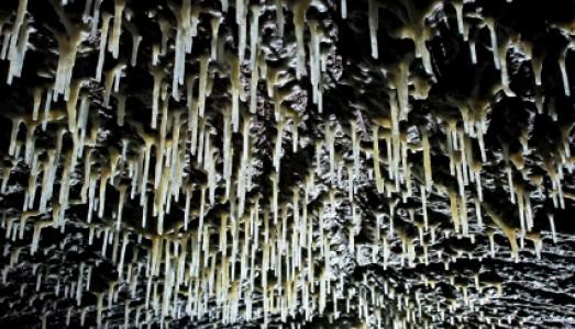 Fino al 12.IV.2015 | Teatro delle esposizioni #6 | Accademia di Francia a Roma – Villa Medici, Roma