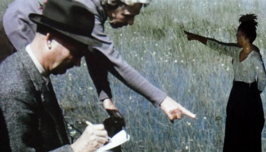 Torino Art Week/17. Che storia, quel geranio. Ce la racconta Uriel Orlow, per la sua mostra al PAV