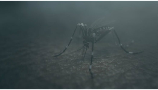 Torino on fair/15. I magnifici sette. Ecco tutti i premi di Artissima Torino on fair/15. I magnifici sette. Ecco tutti i premi di Artissima