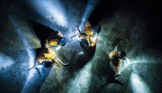 Tra plancton e mondi virtuali. Le azioni del caso alla Biennale di Arti Digitali di Parigi