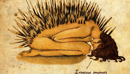 L’emozione è il veleno e la cura. A Bologna, si presenta il Trattato di Anatomia Emozionale