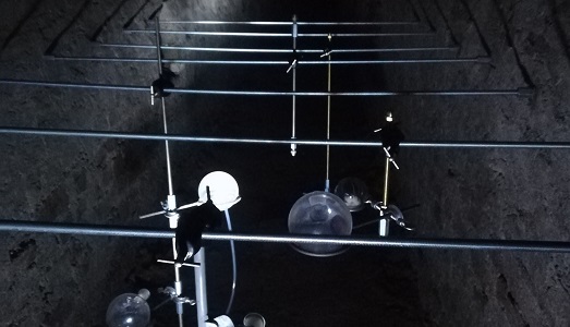 Torino Art Week/14. Treti Galaxie e il contemporaneo che porta tredici metri sotto la città Torino Art Week/14. Treti Galaxie e il contemporaneo che porta tredici metri sotto la città