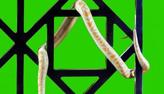 Schermo delle mie brame, chi sono i videoartisti del reame? Prova a rispondere “2010.2015 / notes on italian videoart”, un’indagine sulla vitalità dell’immagine in movimento