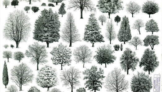 La Triennale di Milano porta alla London Design Biennale gli alberi di Leonardi e Stagi