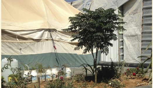 In Siria, oltre il “selfie” In Siria, oltre il “selfie”