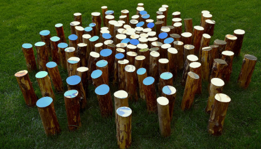 L’arte è imitazione della natura. L’eterno dialogo, in mostra all’Orto Botanico di Roma