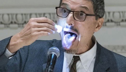 Tutto Bologna/12. Il Mambo presenta il programma espositivo del 2019