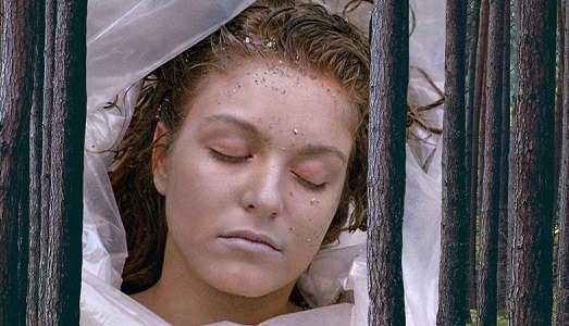 Un secondo da ogni episodio di Twin Peaks. Il tributo di Andy Kelly