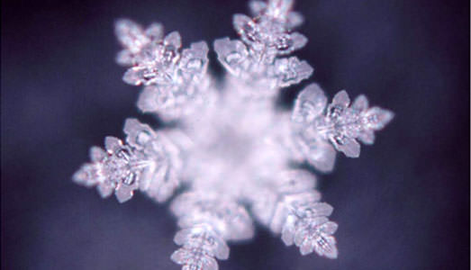 Metti John Lennon e Yoko Ono a Venezia