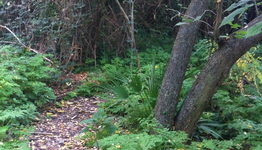 “There is No Place Like Home”, terza tappa a Valle Aurelia. Con una mostra site specific tra natura e urbe, visibile solo per pochissime ore “There is No Place Like Home”, terza tappa a Valle Aurelia. Con una mostra site specific tra natura e urbe, visibile solo per pochissime ore