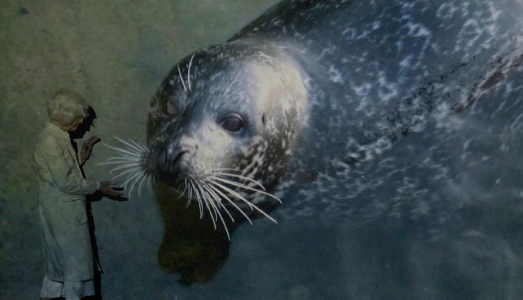 Venezia affaccia sull’oceano. Una mostra di Joan Jonas apre il nuovo spazio di TBA21-Academy