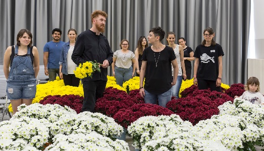 Aspettando la Biennale/4. Vinci/Galesi fa crescere i fiori della Repubblica delle Meraviglie