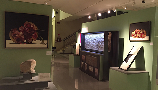 Fino al 25.II.2018 | Luciano Ventrone – Matrix. Oltre la realtà / Beyond reality | Museo Civico Archeologico, Amelia (TR)