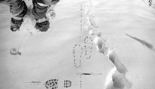 Tra asfalto e foresta. A Verona, Daniele Girardi ci racconta la sua poetica del viaggio