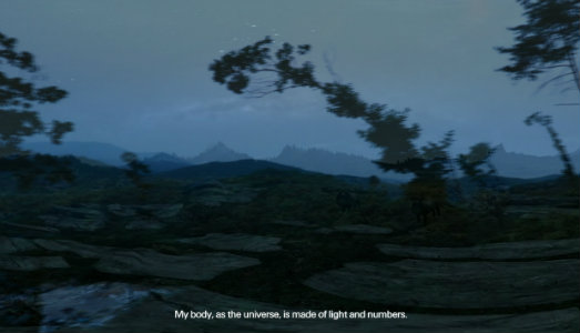 In viaggio da Belfast a Seoul, via Roma. Da Albumarte, la rassegna VideoArtForum