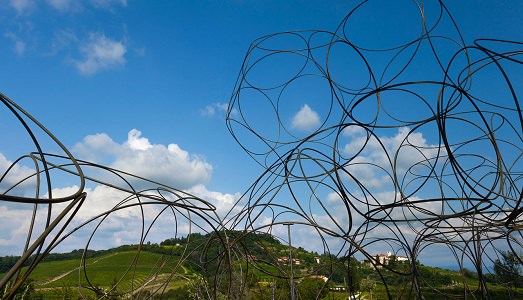Novità in casa “Vigne Museum”. Dopo il convegno “Acqua/Terra” Elda Felluga ci racconta il futuro del progetto Novità in casa “Vigne Museum”. Dopo il convegno “Acqua/Terra” Elda Felluga ci racconta il futuro del progetto