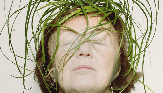 Una libreria di fiori per Villa delle Rose. A Bologna la retrospettiva di Mariella Simoni