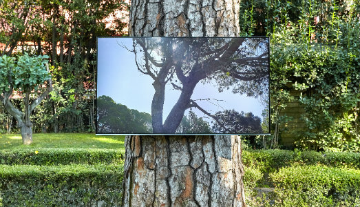 A Roma, Villa Lontana saluta la prima stagione con gli Archeologi. Intervista alle curatrici