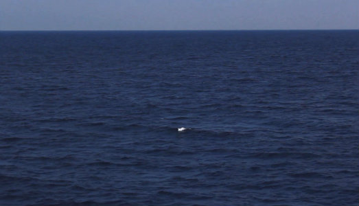 Viaggio intorno al mondo. I nomi dei vincitori delle borse di studio internazionali di nctm