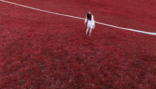 Viaggio intorno al mondo, con i vincitori della 13ma edizione del Premio Arte Laguna Viaggio intorno al mondo, con i vincitori della 13ma edizione del Premio Arte Laguna