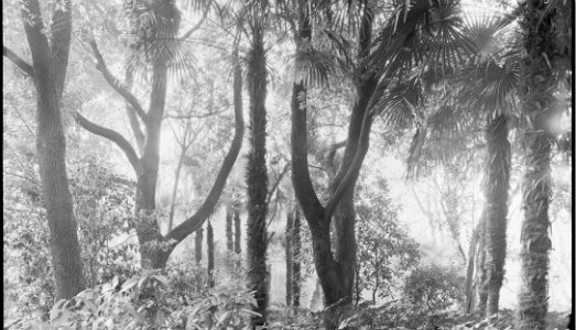 Ciò che le immagini nascondono. Quattro giovani artisti italiani in mostra in Slovenia