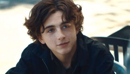 Timothée Chalamet sarà nel nuovo film di Wes Anderson