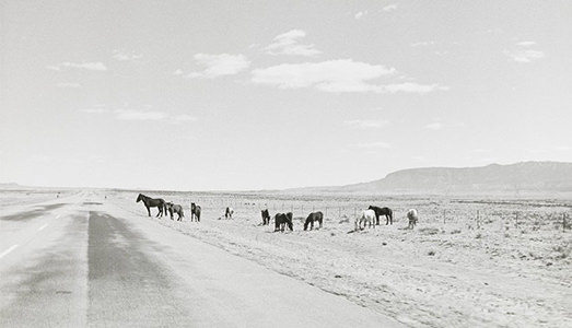 Addio a Henry Wessel Addio a Henry Wessel