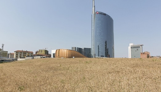 Cappelli contro il sole e stivali da campagna: ultimo atto per l’opera corale e green di Agnes Denes, Wheatfield a Milano Cappelli contro il sole e stivali da campagna: ultimo atto per l’opera corale e green di Agnes Denes, Wheatfield a Milano