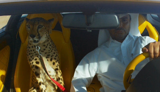 Con Zaha Hadid e Piero Gilardi, che sere d’agosto al MAXXI. E qualche anticipazione d’autunno