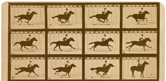 Le fotografie iconiche delle più importanti scoperte scientifiche Fotografia scientifica di Eadweard Muybridge